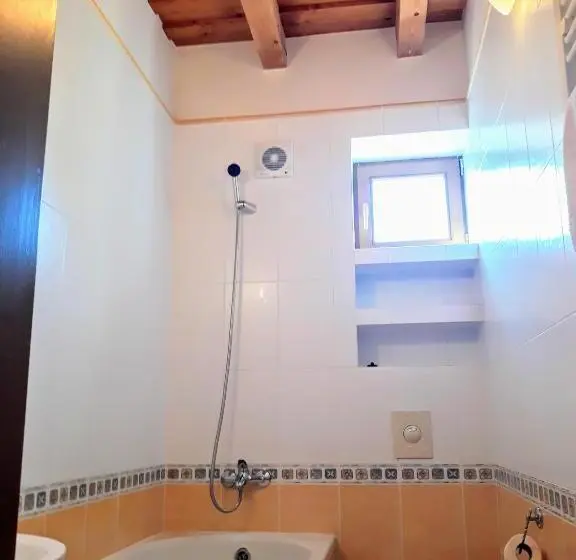 Standard Yhden Hengen Huone, Letuchiy Gollandets