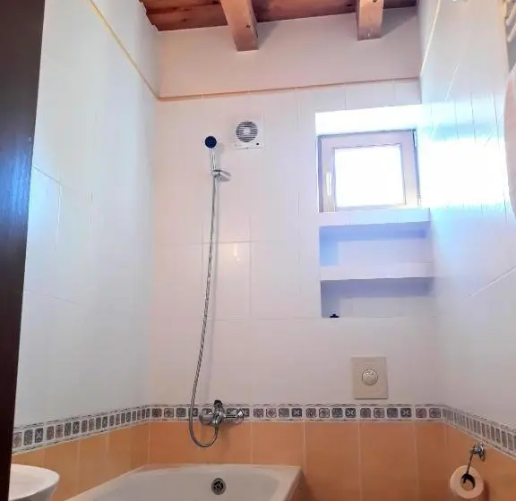Standard Yhden Hengen Huone, Letuchiy Gollandets