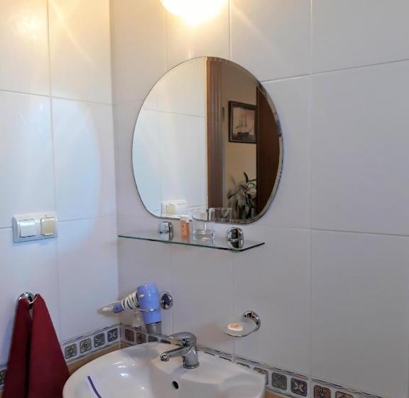 スタンダードシングルルーム, Letuchiy Gollandets