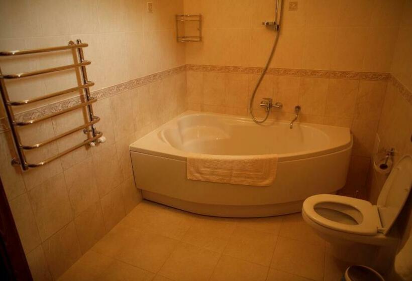 آپارتمان 1 خوابه با تراس, Oasis Karpat