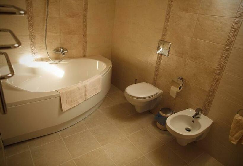 آپارتمان 1 خوابه با بالکن, Oasis Karpat