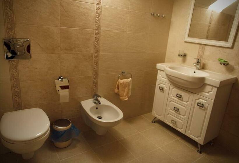 آپارتمان 1 خوابه با بالکن, Oasis Karpat