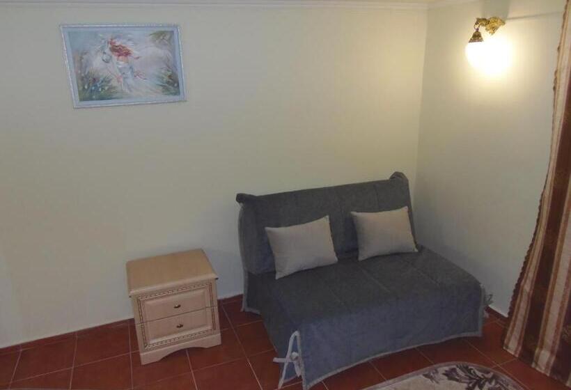 استودیوی استاندارد, Tourist Complex Karina