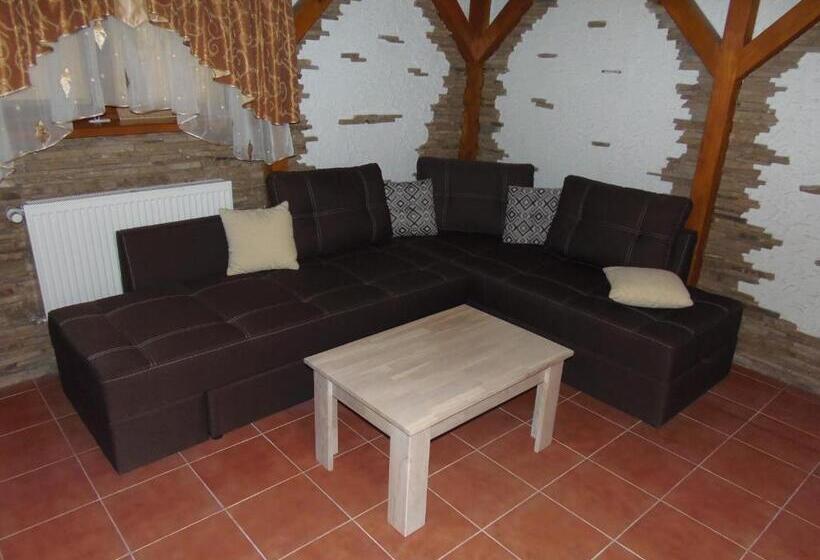 استودیوی استاندارد, Tourist Complex Karina