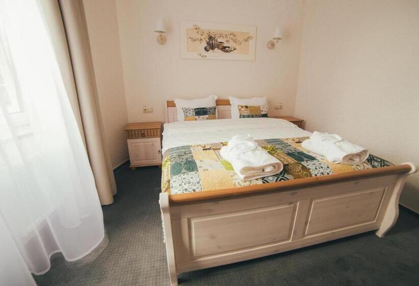 חדר סטנדרט, Svityaz Resort