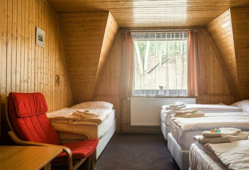 غرفة قياسية رباعية, Konopiště Nová Myslivna