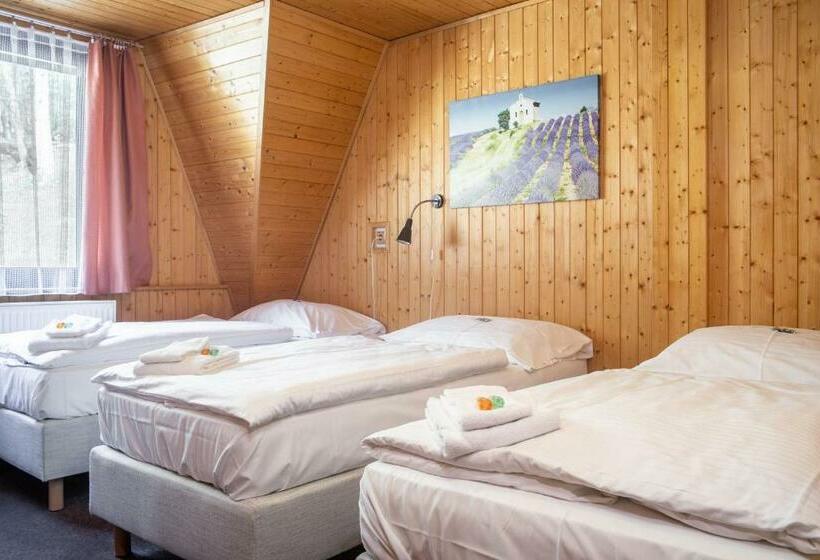 غرفة قياسية رباعية, Konopiště Nová Myslivna