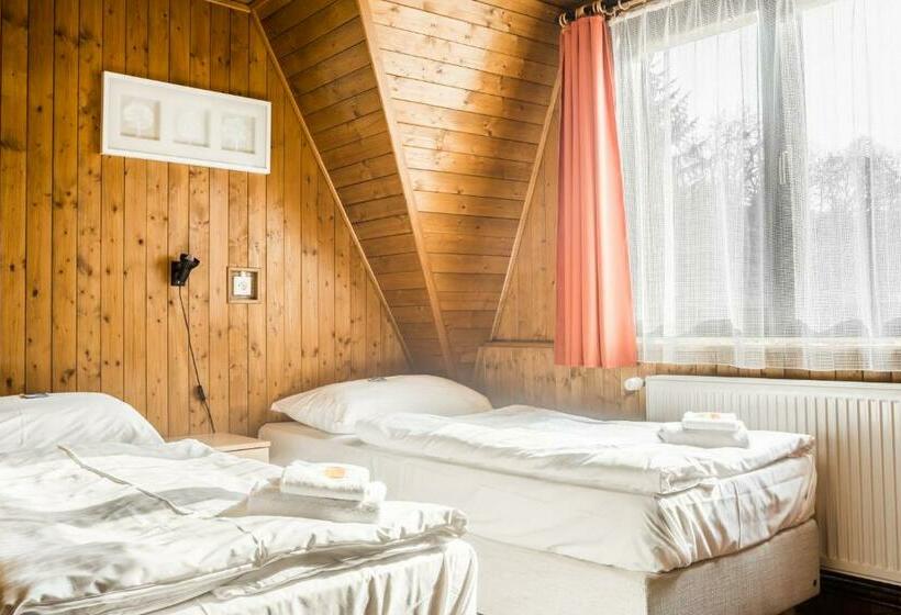 غرفة قياسية, Konopiště Nová Myslivna