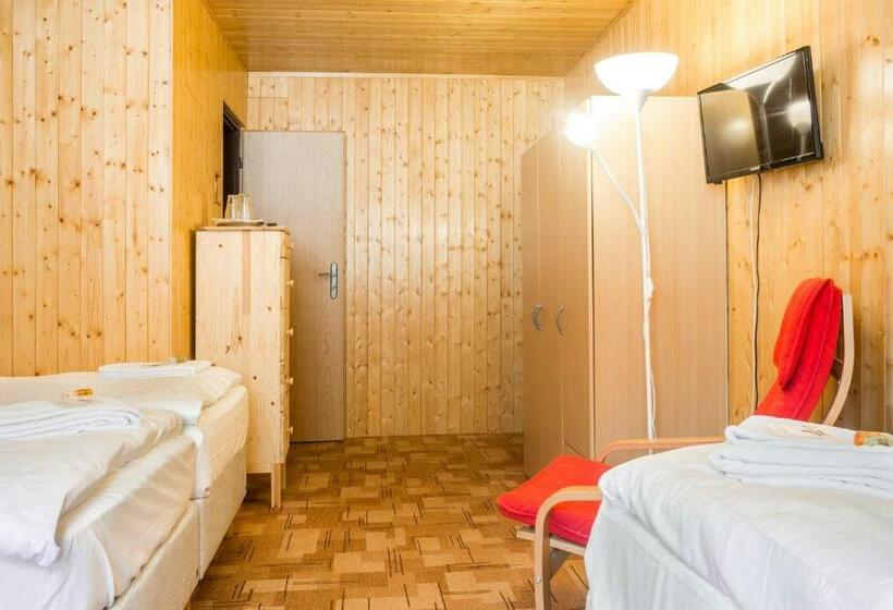 غرفة قياسية رباعية, Konopiště Nová Myslivna