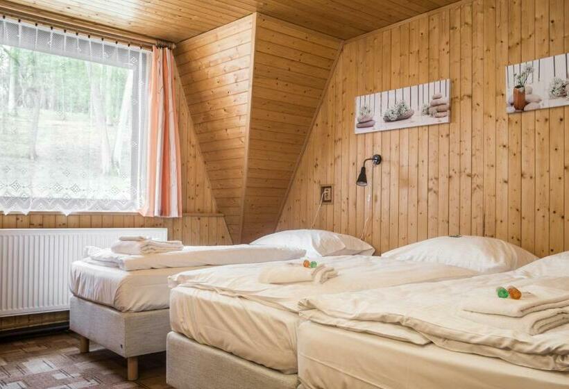 غرفة قياسية رباعية, Konopiště Nová Myslivna