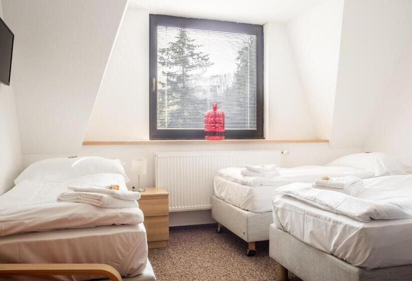 غرفة قياسية ثلاثية, Konopiště Nová Myslivna