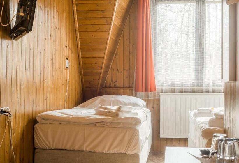 غرفة قياسية ثلاثية, Konopiště Nová Myslivna