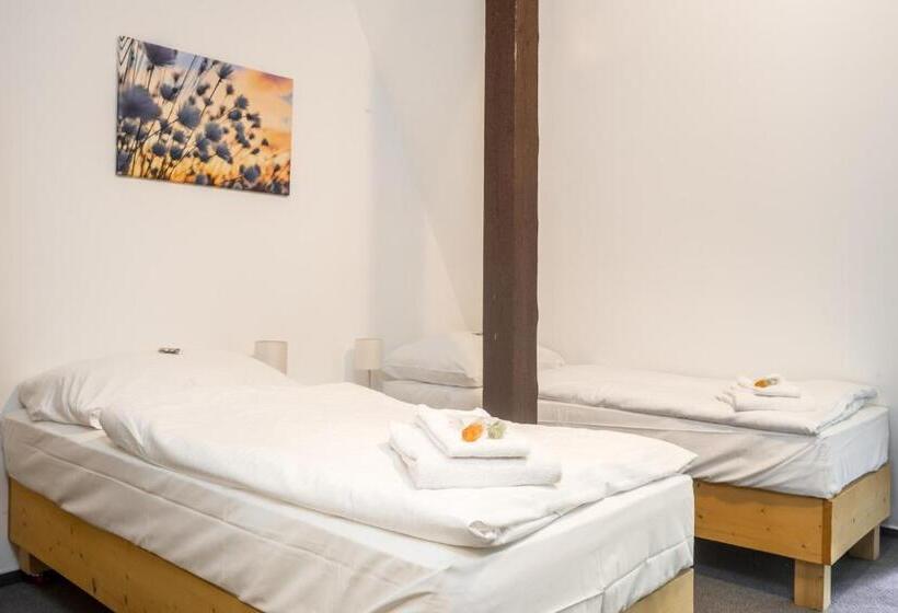 غرفة قياسية, Konopiště Nová Myslivna