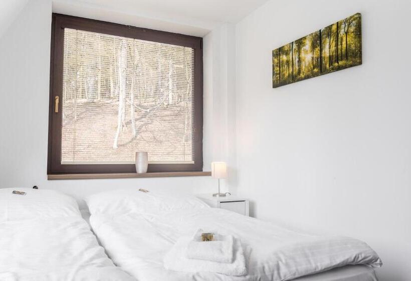 غرفة قياسية رباعية, Konopiště Nová Myslivna