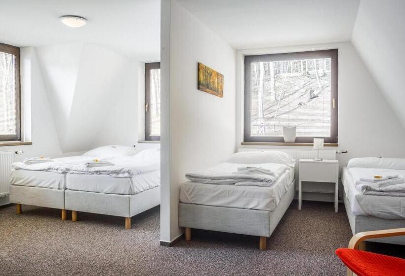 غرفة قياسية رباعية, Konopiště Nová Myslivna