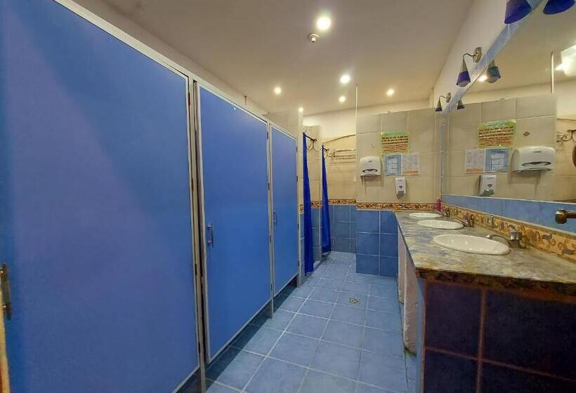 اتاق اکونومی یک تخته, ñaupa House Hostel