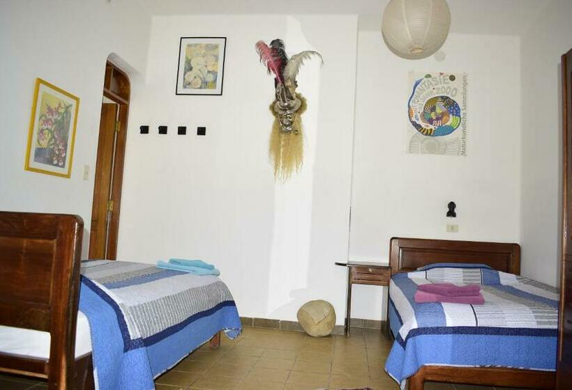 اتاق استاندارد, Bella Vista El Tronco