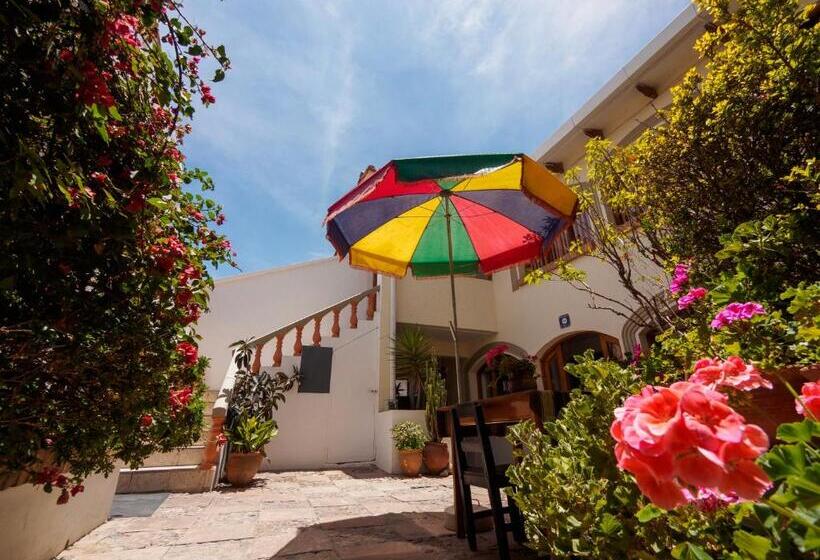 اتاق استاندارد, Bella Vista El Tronco