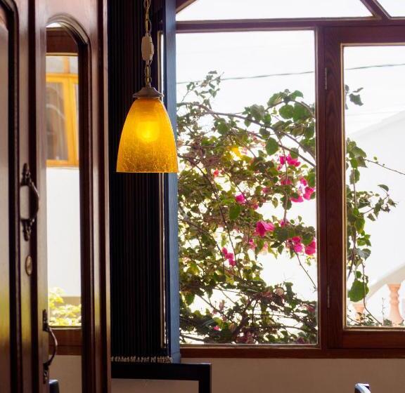 اتاق استاندارد, Bella Vista El Tronco