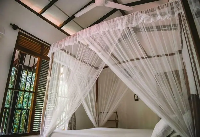 １ベッドルームアパートメント, Kadolana Guest House