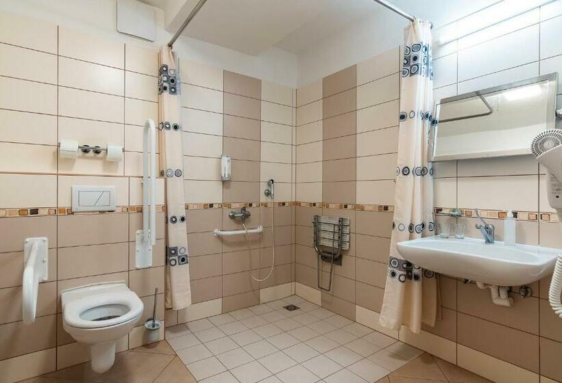 身障者適用シングルルーム, Garni Všb