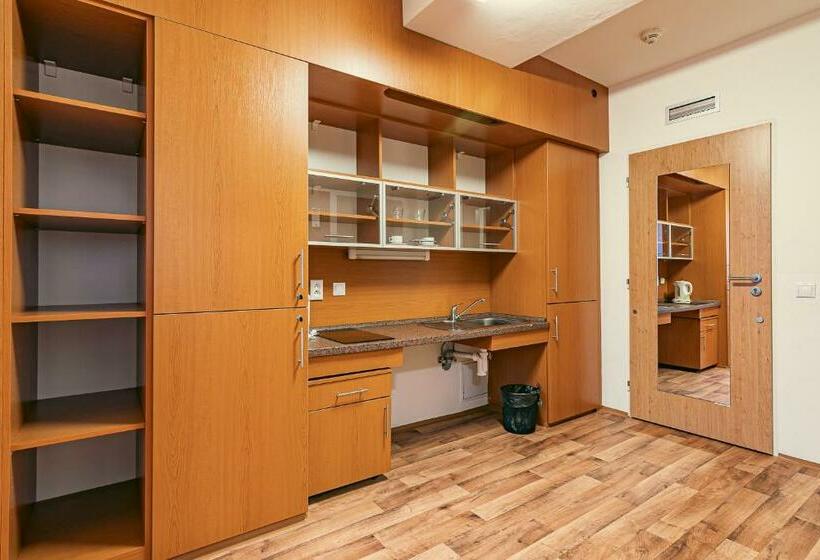 身障者適用シングルルーム, Garni Všb