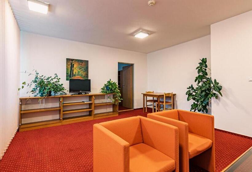 キングサイズベッドのスイートルーム, Garni Všb