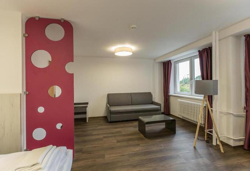 身障者適用スタンダードルーム, Garni Všb