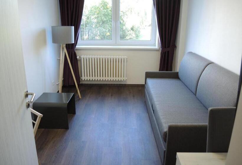 １ベッドルームのデラックスアパートメント, Garni Všb