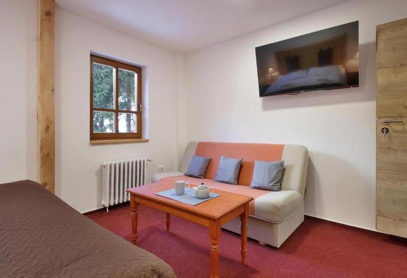 اتاق استاندارد, Hvezda