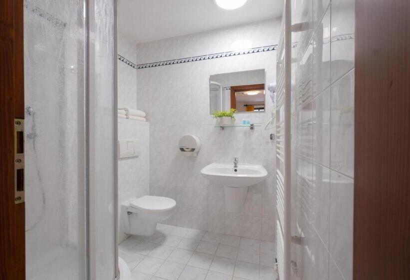 اتاق استاندارد, Hvezda