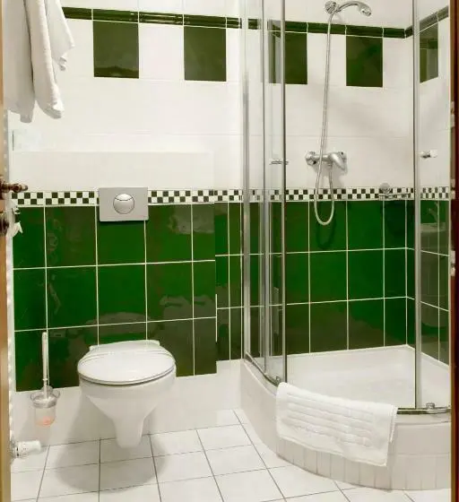 اتاق راحتی یک تخته, Wellness Hotel Ida