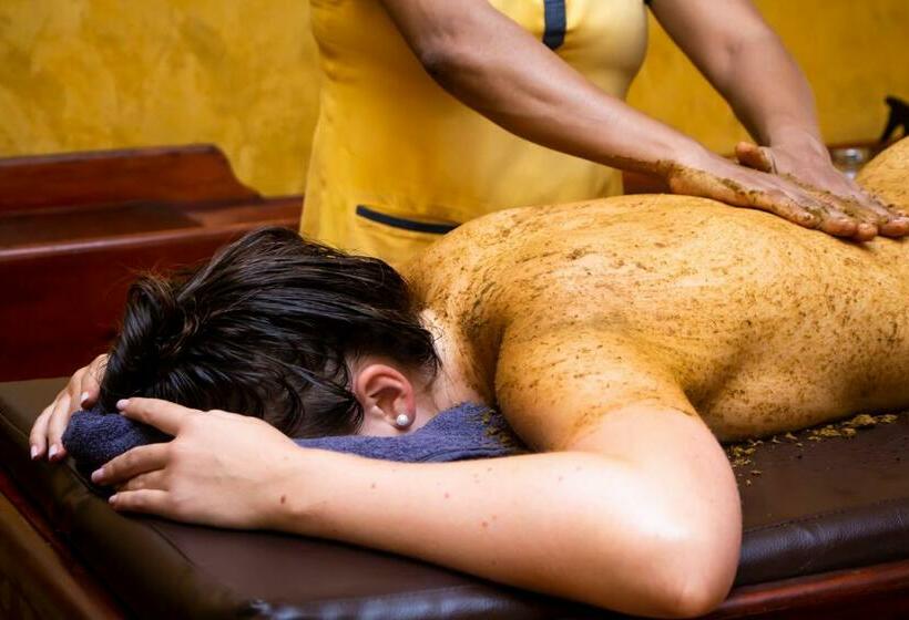 スタンダードルーム, Jasmin Villa Ayurveda Resort