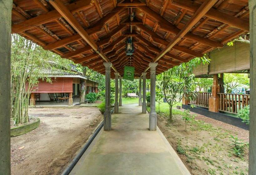 شقة غرفتين, Villa 80