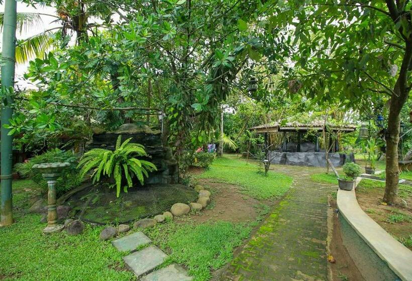 شقة غرفتين, Villa 80