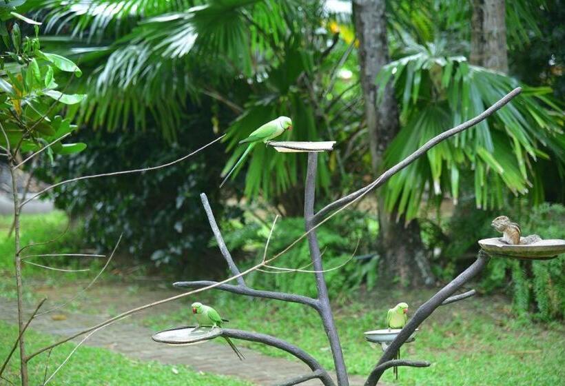 شقة غرفتين, Villa 80