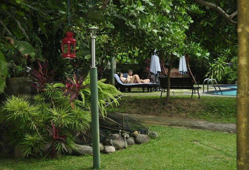 شقة غرفتين, Villa 80