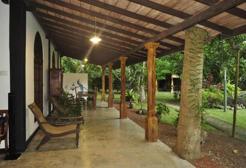 شقة غرفتين, Villa 80