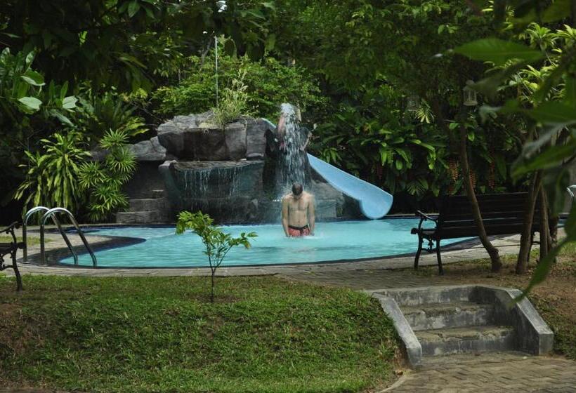 بنجلو عائلى, Villa 80