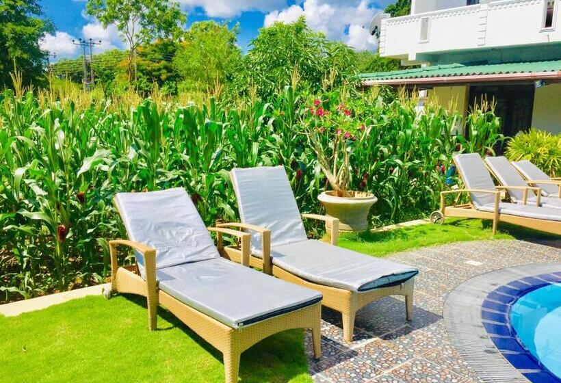 Deluxezimmer Poolblick, Saman Resort