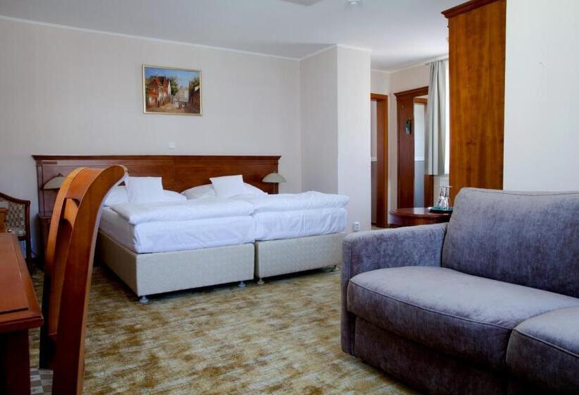 Полулюкс, Wellness Hotel Ida