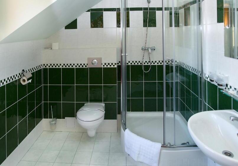 Полулюкс Повышенной Комфортности, Wellness Hotel Ida