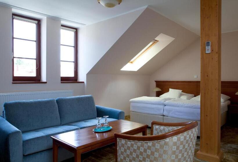 Полулюкс Повышенной Комфортности, Wellness Hotel Ida