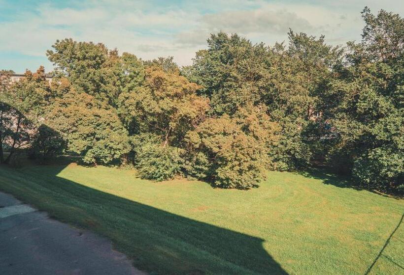 اتاق راحتی سه تخته, Hostel Nele