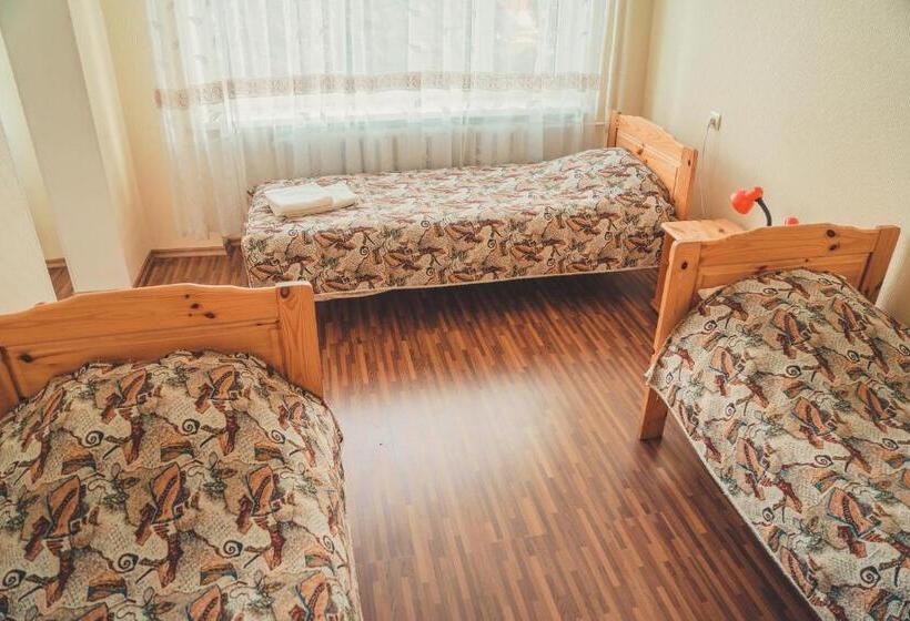 اتاق راحتی سه تخته, Hostel Nele