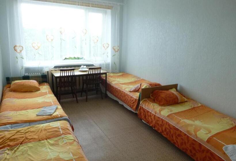 اتاق استاندارد چهار تخته, Hostel Nele