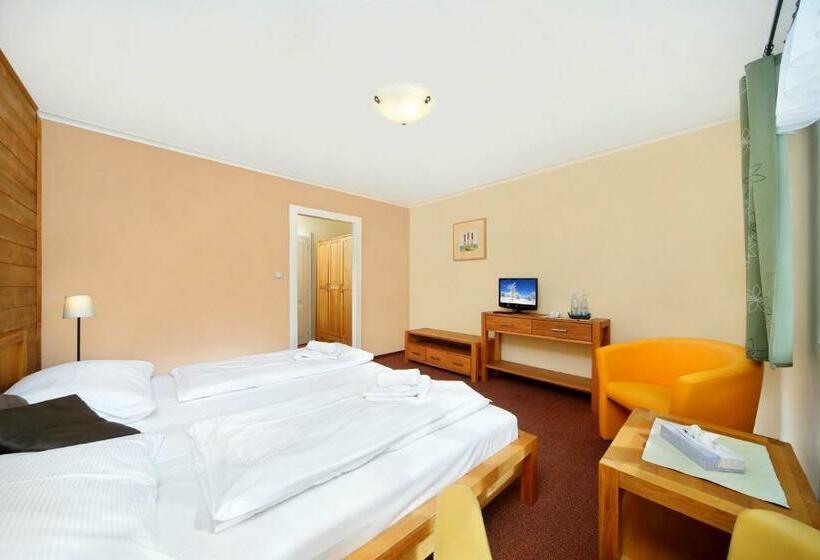 חדר סטנדרט, Erika