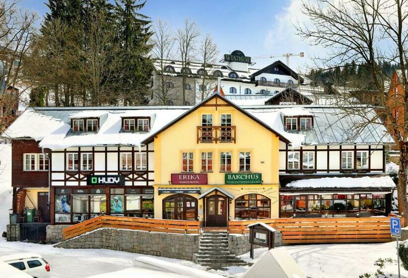 חדר סטנדרט, Erika