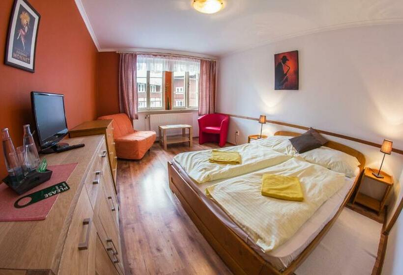 اتاق استاندارد, Erika