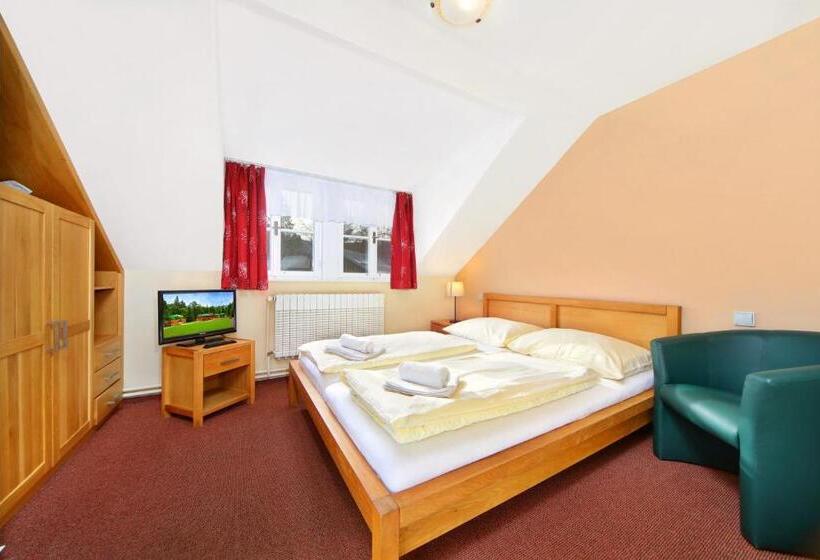 اتاق عادی, Erika